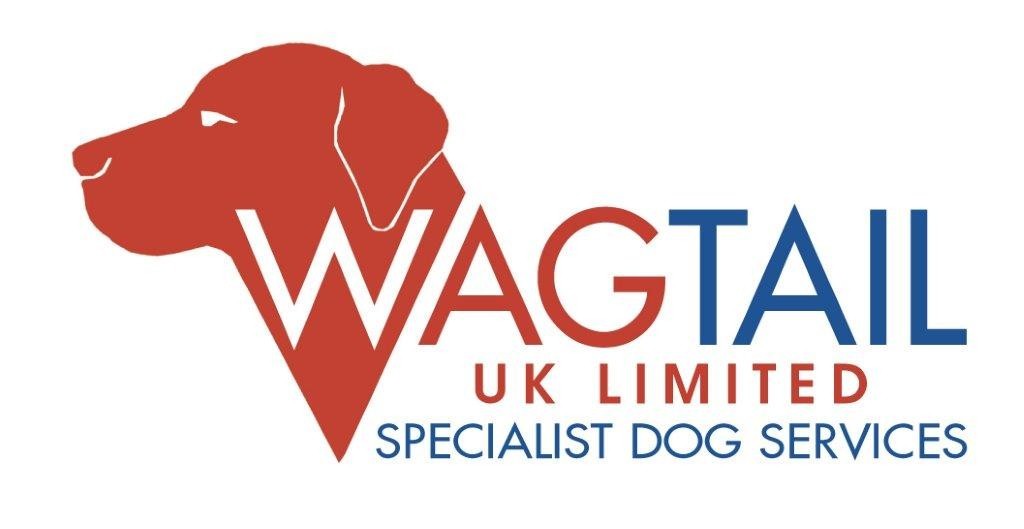 Wagtail-logo.jpg
